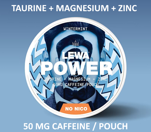 LEWA POWER Wintermint Caffeine 50mg